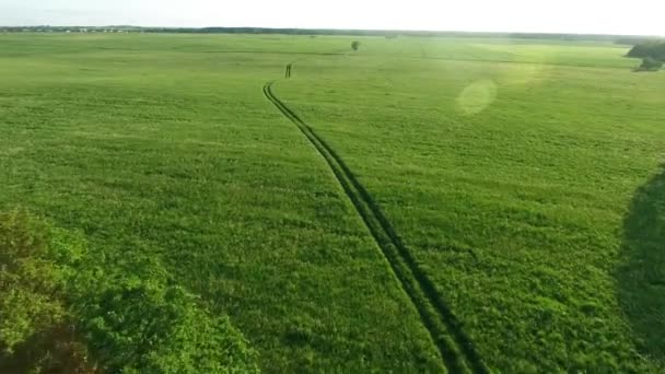 Vista aérea de la carretera en los campos — Vídeos de Stock