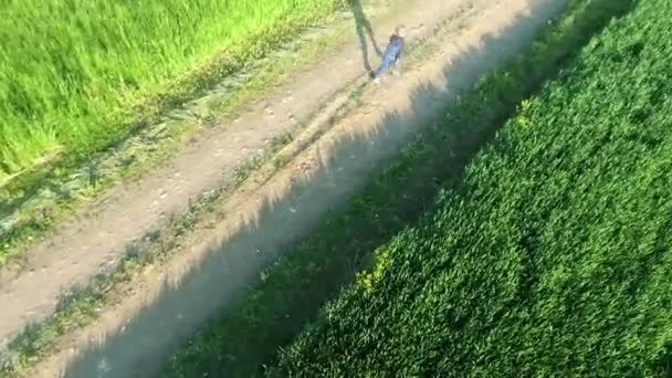 Chico corriendo en los campos vista aérea — Vídeo de stock