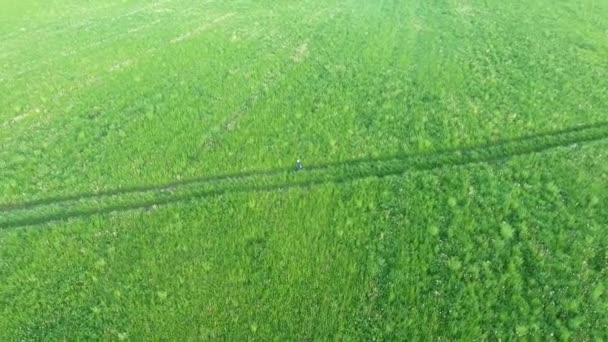Boy running in the fields aerial view — Stock Video