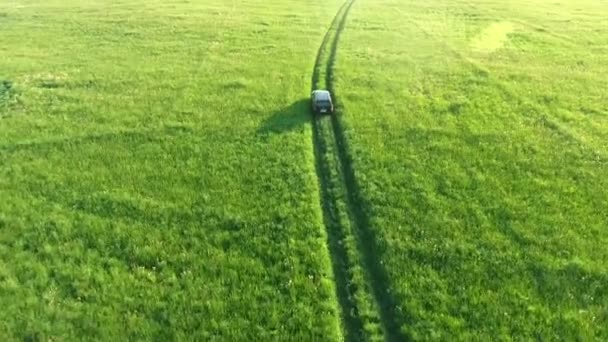Bir havada, yeşil tarlalarda yolda hareket suv araba havadan görünümü — Stok video