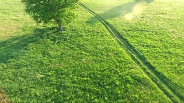 Вид с воздуха на внедорожник, движущийся по дороге на зеленых полях — стоковое видео