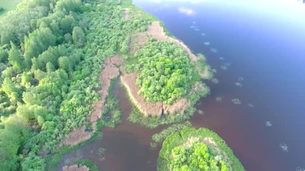 Vista aerea del fiume nei campi — Video Stock