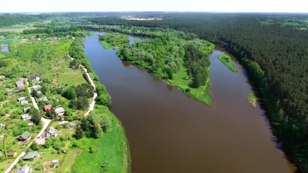 Vista aérea del río y del bosque — Vídeo de stock