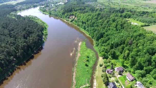 A folyó és az erdő légi rálátása — Stock videók