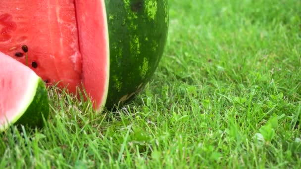 Gesneden watermeloen op gras — Stockvideo