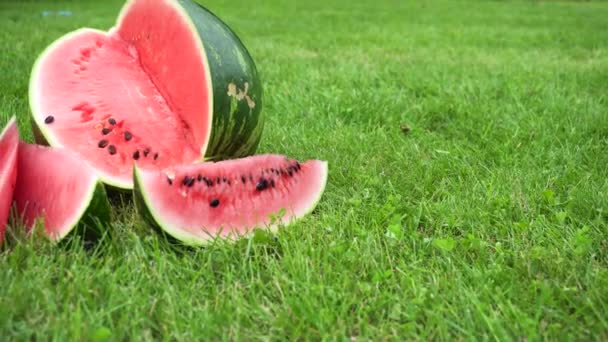 Wassermelone in Scheiben geschnitten auf Gras — Stockvideo