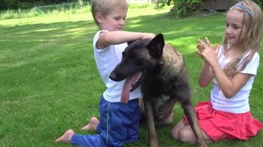 iki çocuk açık havada köpekle oynamayı