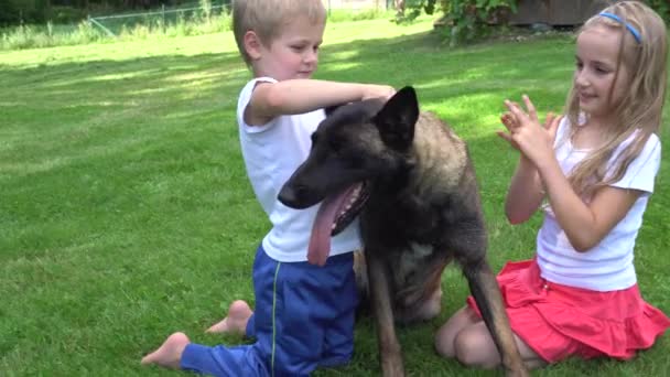 Deux enfants jouant avec le chien à l'extérieur — Video