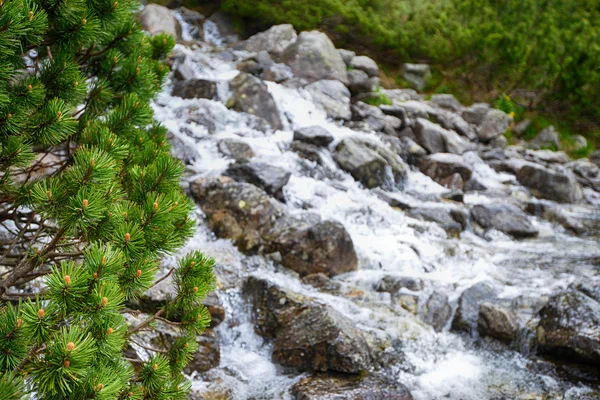 Arroyo de agua en las laderas de montañas — Foto de Stock