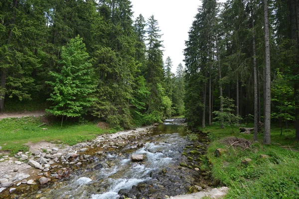 Water stream on slopes of mountains — Stock Photo, Image