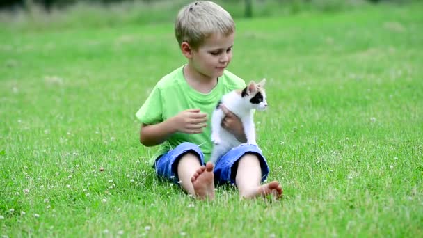 Pojke leker med kattunge — Stockvideo