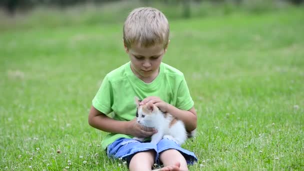 Çocuk yavru kedi ile oynarken — Stok video