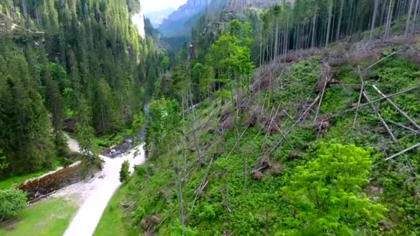 Вид з повітря на долину гір — стокове відео