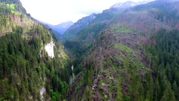 Vue aérienne de la vallée des montagnes — Video