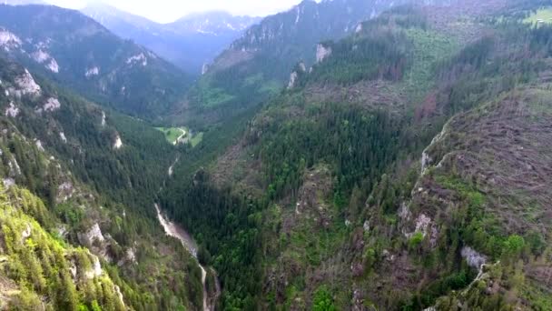 Vista aérea del valle de las montañas — Vídeo de stock