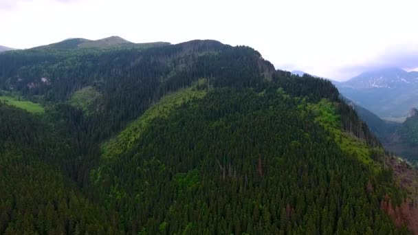 Letecký pohled na hory údolí — Stock video