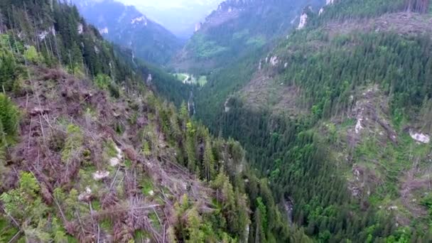Luchtfoto van de vallei van de bergen — Stockvideo