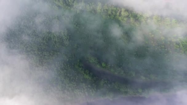 Над землёй с туманом — стоковое видео