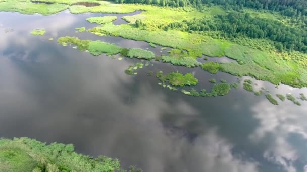 Bela paisagem fluvial — Vídeo de Stock