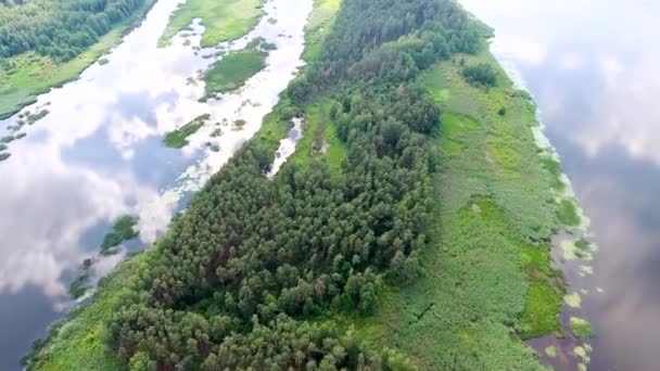Yeşil bankalarla güzel nehir — Stok video