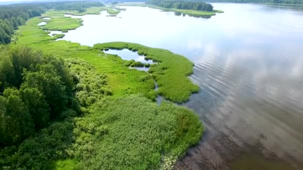 Красива річка з зеленими берегами — стокове відео