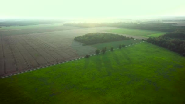 Luchtfoto van de groene weiden — Stockvideo