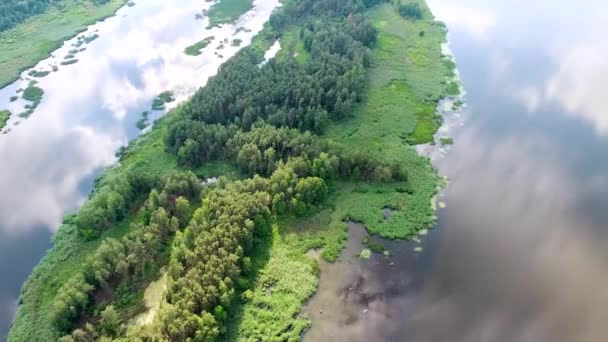 Prachtige rivier met groene oevers — Stockvideo