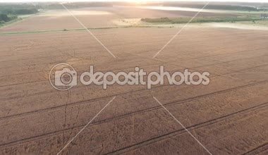 puslu sabah kuşları alanlarında görünümü göz