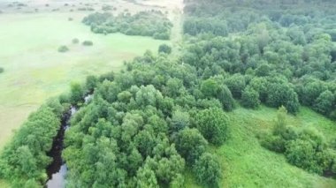 puslu sabah kuşları alanlarında görünümü göz