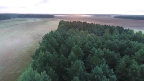 Mistige velden in ochtend birds eye view — Stockvideo