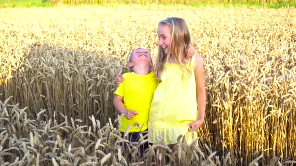 Kinder posieren im Weizenfeld — Stockvideo