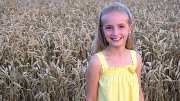 Cute girl in wheat field — Stock Video