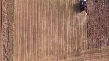 tarlada çalışan hasat