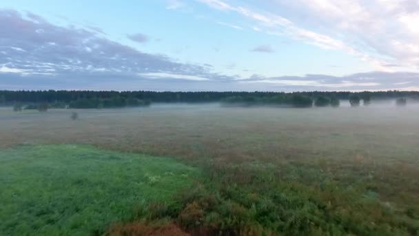 Ködös erdőkön-mezőkön reggel madártávlatból nézet — Stock videók