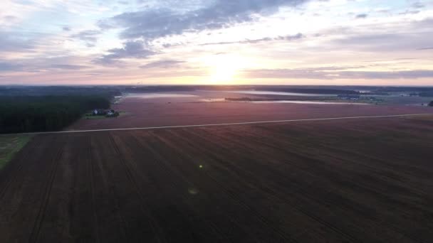 Misty fields in morning birds eye view — Stock Video