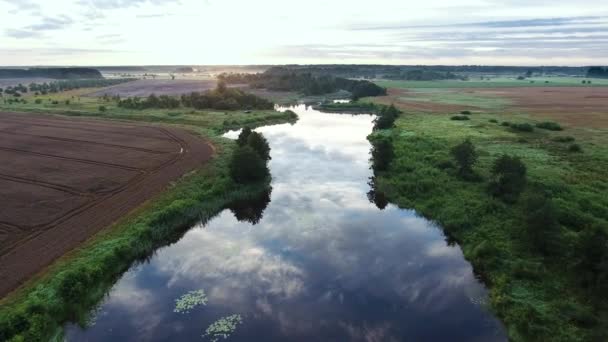 Floden på morgonen Birds eye view — Stockvideo