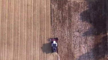 tarlada çalışan hasat