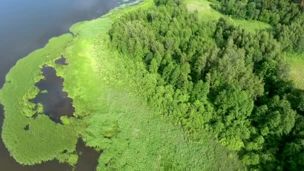 Belle rivière avec des rives vertes — Video