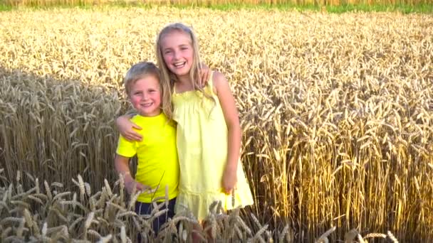 Bambini in posa nel campo di grano — Video Stock