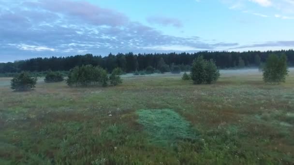 Misty fields in morning birds eye view — Stock Video