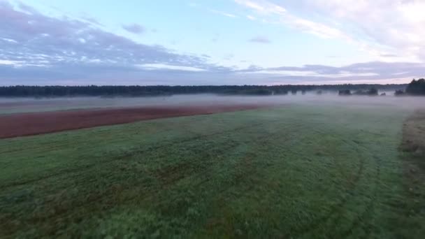 Misty fields in morning birds eye view — Stock Video