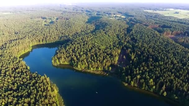 Jezioro piękny widok z lotu ptaka — Wideo stockowe