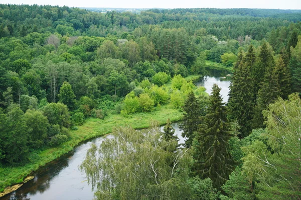 Řeka, která teče mezi lesy — Stock fotografie