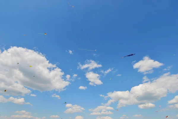 Beautiful flying kites — Stock Photo, Image