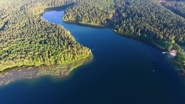 Beautiful lake aerial view — Stock Video