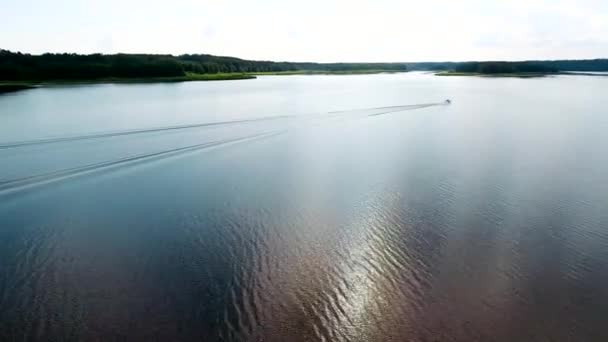아름 다운 강 녹색 은행 — 비디오