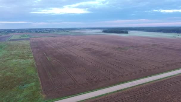 Mglisty pól w rano, widok z lotu ptaka — Wideo stockowe