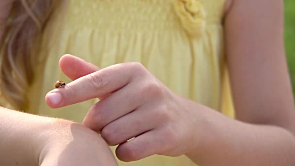 Inseto senhora em mãos menina — Vídeo de Stock