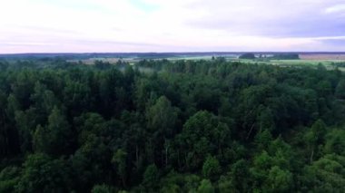 sabah puslu alanları