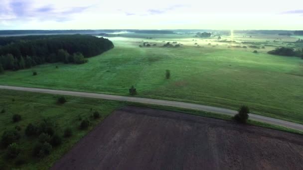 Misty fields in morning — Stock Video